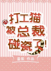 打工貓被霸總碰瓷了