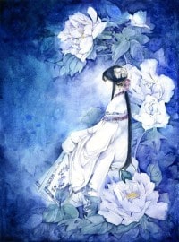 時代之王羅峰柳眉